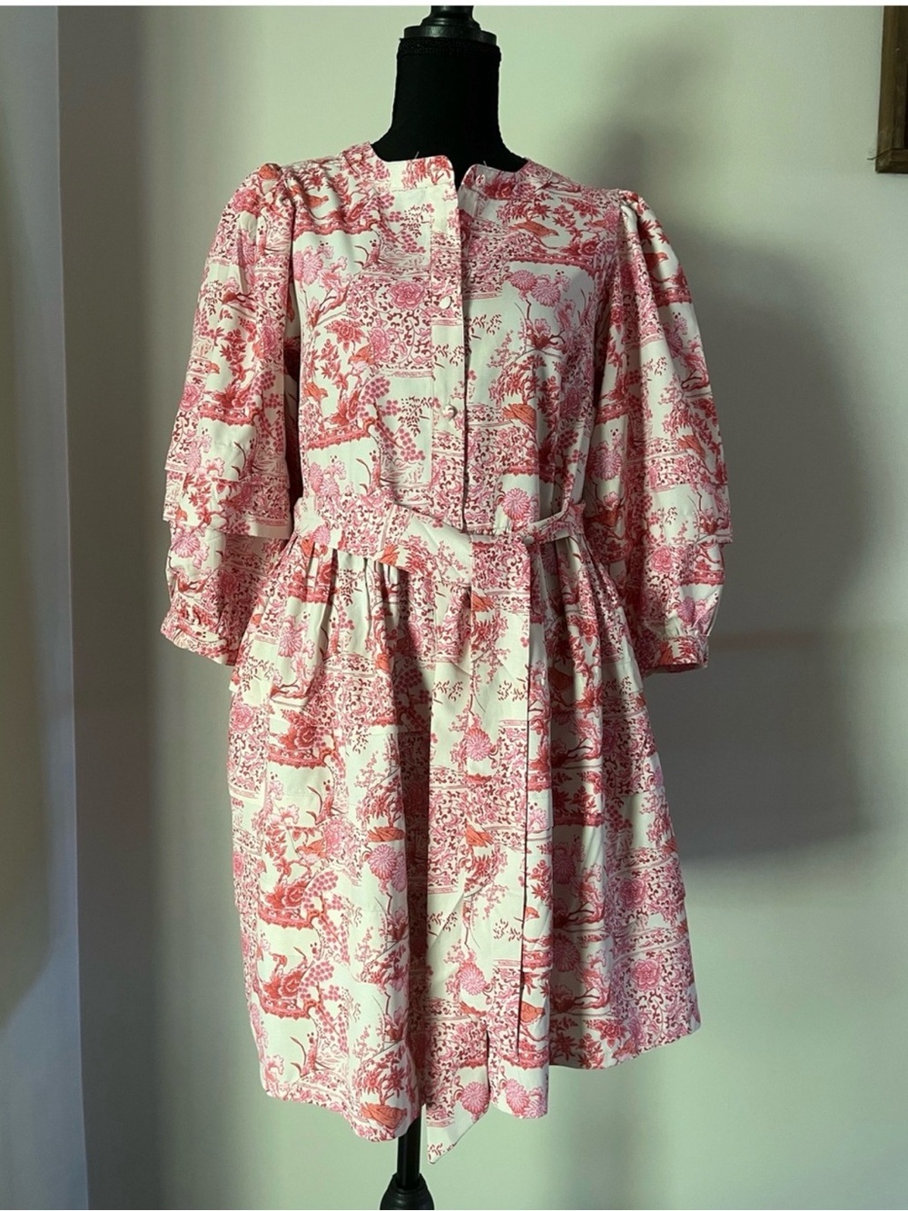 Pinch Toile Print Mini Cottagecore
Chic Dress Sz S EUC 💕